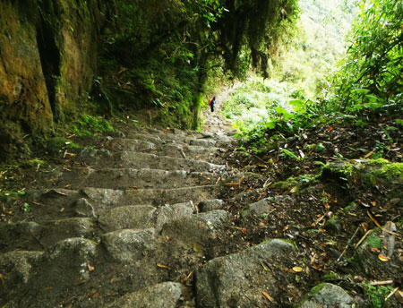 Inca Trail steps to Machu Picchu